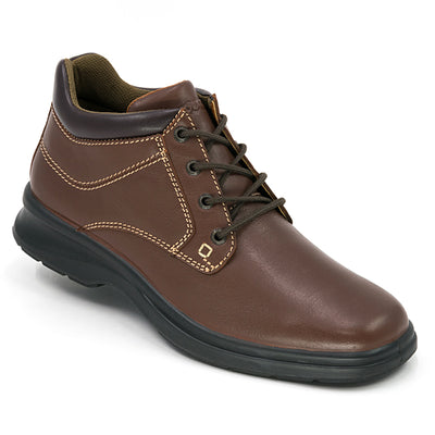 2091 Media Bota Drakar Shedron