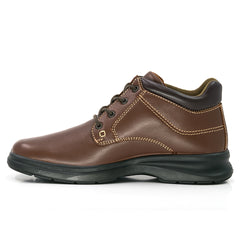 2091 Media Bota Drakar Shedron