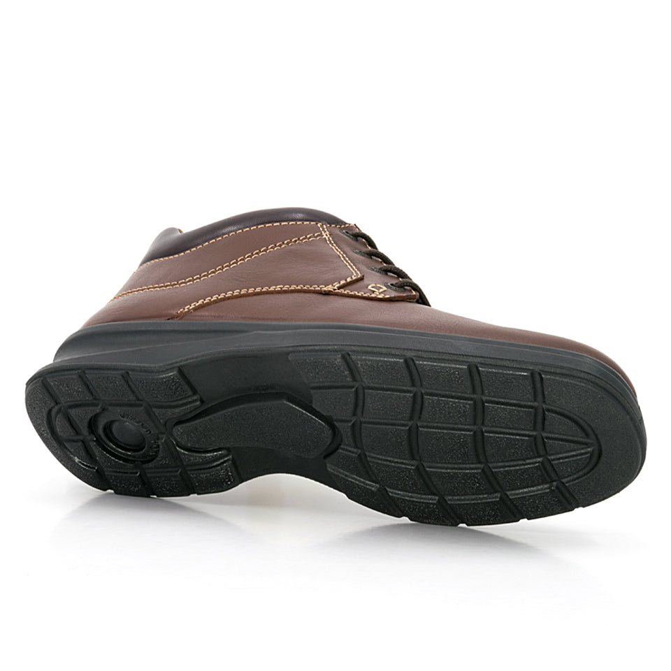 2091 Media Bota Drakar Shedron