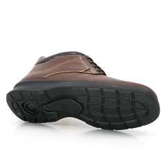 2091 Media Bota Drakar Shedron