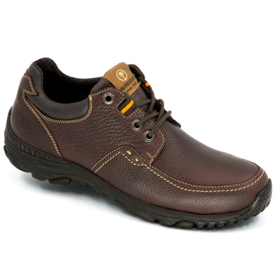 2962 Choclo Vulcano Shedron