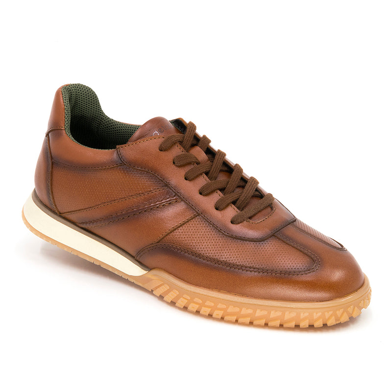 1323 Choclo Stenford Miel