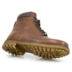 2338 Media Bota Explorer Tabaco